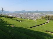 寅吉さんの牧之原公園展望台の投稿写真1