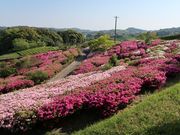 寅吉さんのあらさわふる里公園の投稿写真2