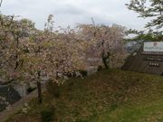 QBCさんのアルカディア・ビレッジの投稿写真1