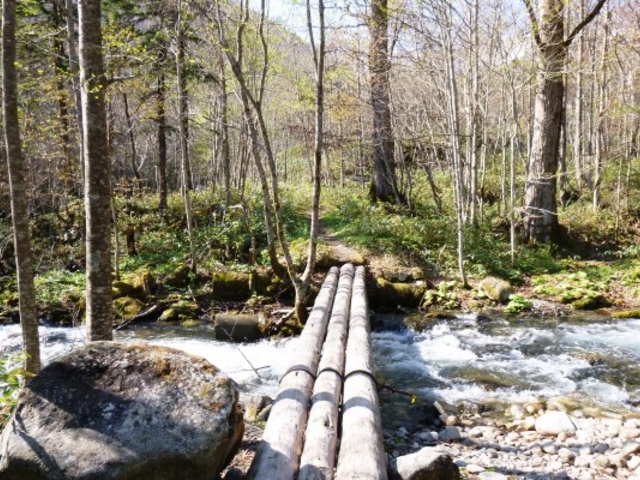 u-minさんの芽室岳の投稿写真1
