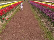 ぱちぱちさんの直方リバーサイドパークの投稿写真1