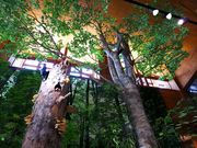 amuchaさんの八幡平ビジターセンターの投稿写真1