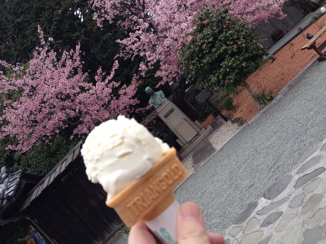 ここでしか食べられないご当地アイス_泉の館 柿田川とうふ店