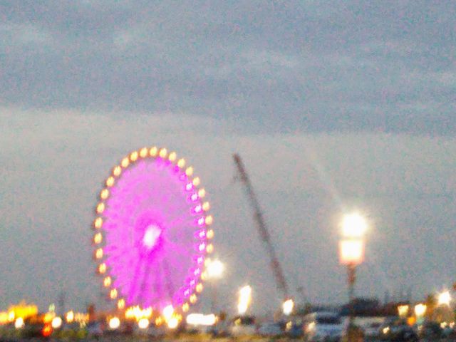 木更津かんらんしゃパーク キサラピア_木更津かんらんしゃパーク キサラピア