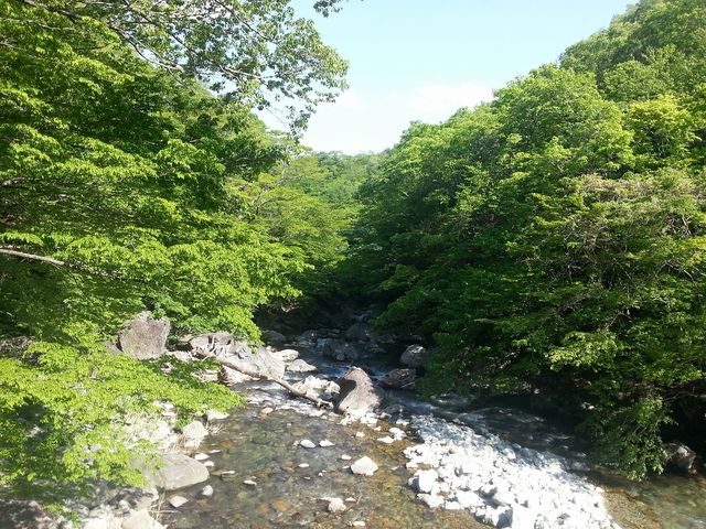 温泉街の手前にある遊歩道のつり橋からの光景その1_板室温泉