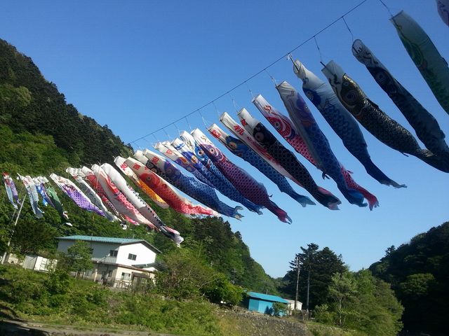 温泉街を流れる那珂川にかかるこいのぼり_板室温泉