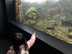北の大地の水族館の写真1