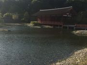 のぶさんの東院庭園の投稿写真1