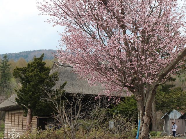 たかちゃんさんの養蚕民家の投稿写真1