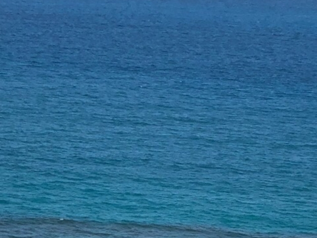 キレイ_沖泊海浜公園
