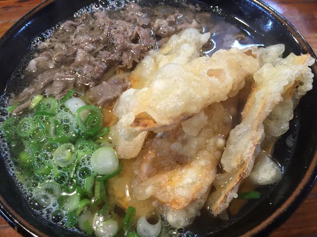 ゴボ天肉うどん_うどん平