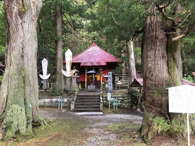 夫婦杉に挟まれた不動尊_飛不動尊