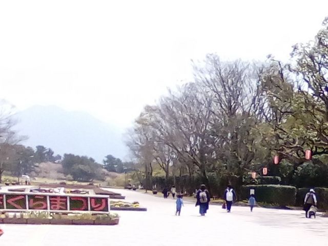 吉野公園と桜島_吉野公園