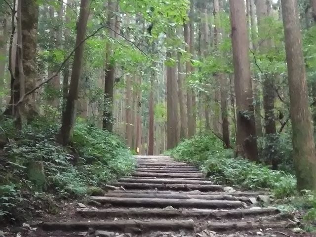弥彦山ハイキングコース_弥彦山ハイキング