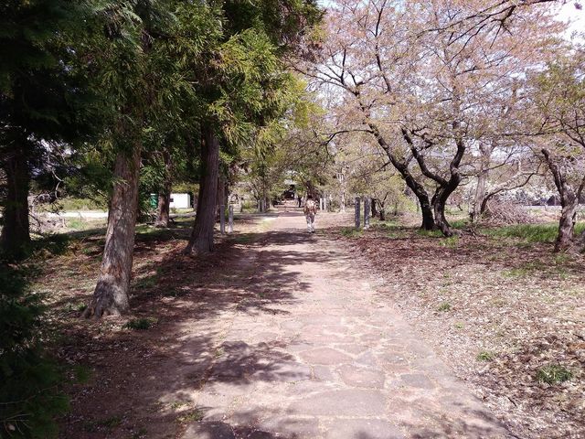 梁川八幡神社