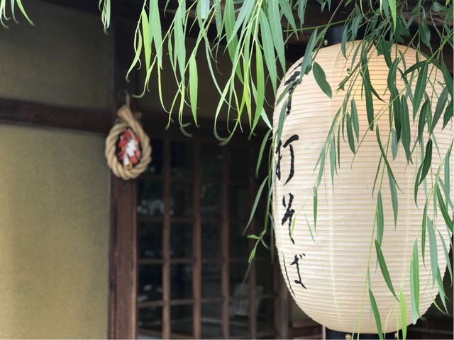 【段葛 こ寿々】店先の提灯と柳がいいです_段葛 こ寿々