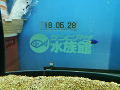 新さっぽろサンピアザ水族館の写真1