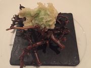 ynynynさんのモリエールの投稿写真1