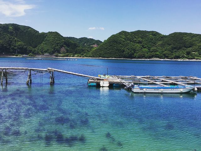 綺麗な海でのSUP!_太地フィールドカヤック