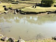 こまちさんの君ヶ岡公園の投稿写真1