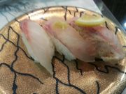 くまったさんさんのすし玉 金沢駅店の投稿写真2