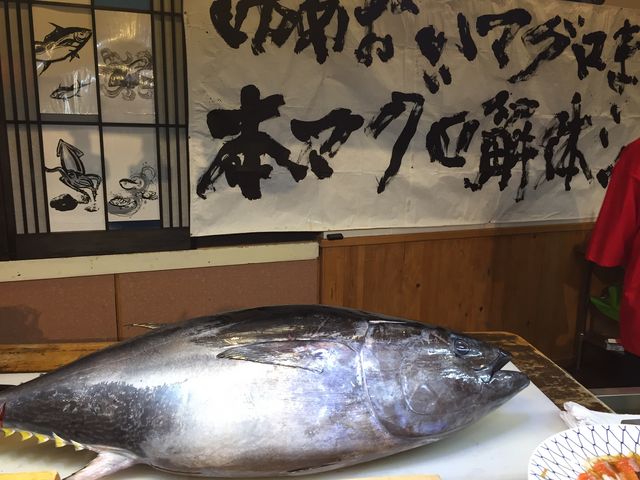 マグロ_湯巡りと娯楽満載の宿 湯巡追荘