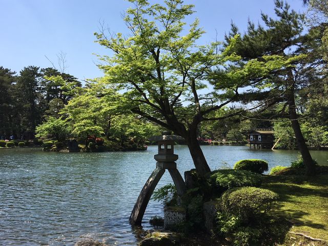 徽軫灯籠_徽軫灯籠(兼六園)