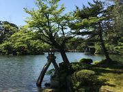 poporonさんの内橋亭の投稿写真2