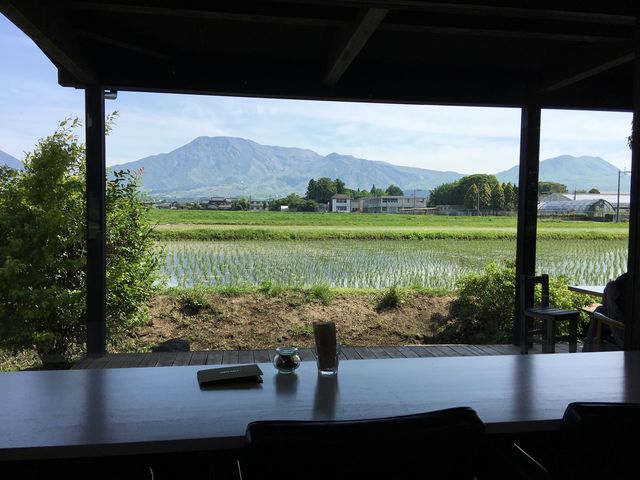 ひばりカフェのカウンター席_ひばり工房