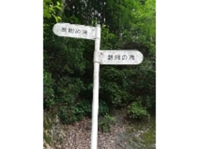 鱒飛_鱒飛の滝
