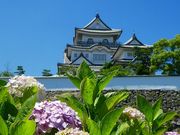 マックさんの岸和田城の投稿写真1