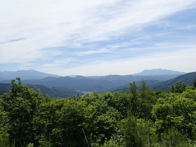 位山