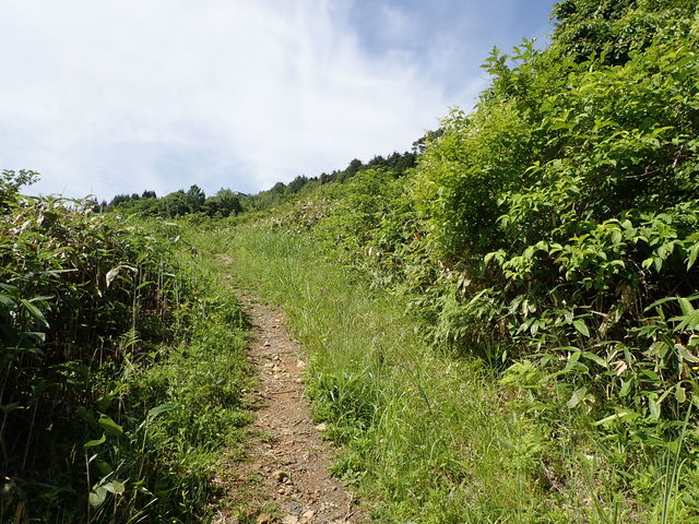 マイBOOさんの位山の投稿写真1