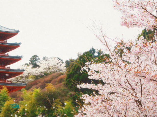 紅葉_総本山 本福寺
