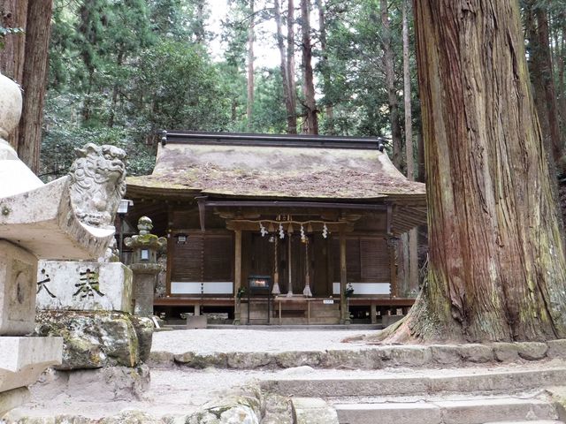 室生龍穴神社周辺