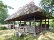 こぼらさんのかぎろひの丘万葉公園の投稿写真1