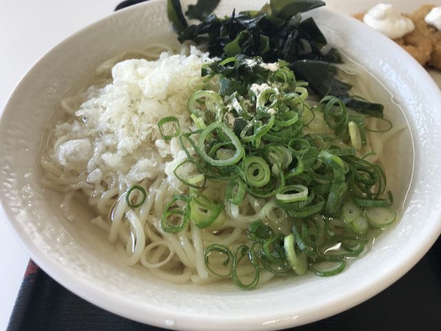 夏場にオススメ 中華そばのひやかけ ワカメ・ネギ・天かす
胡麻油・胡椒でどうぞ_手打ちうどんたも屋林店