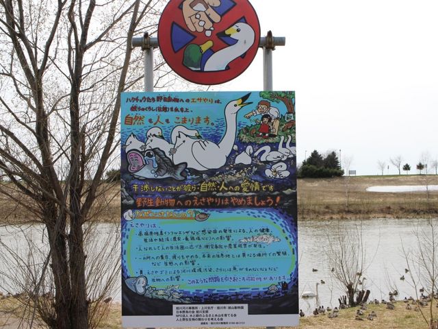 えさやり禁止の看板_永山新川