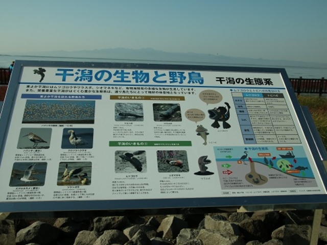 JOEさんの有明海の干潟の投稿写真1