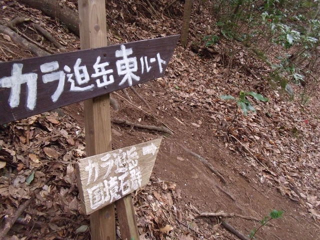 JOEさんのカラ迫岳の投稿写真1