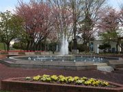 たかちゃんさんの義経公園の投稿写真1