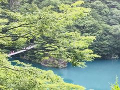 夢のつり橋の写真1