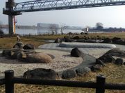 りそなさんの荒川岩淵関緑地の投稿写真1