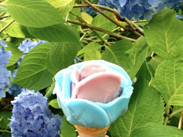 ババベラアイス!紫陽花バージョン_ババヘラアイス