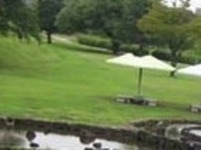 境川緑道公園_境川緑道公園