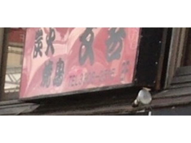 ややさんの文吾の投稿写真1