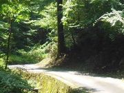 アクセルゼンカイさんの粥川の森遊歩道の投稿写真1