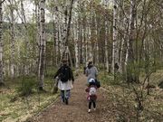 あまちゃんさんの八千穂高原自然園の投稿写真2