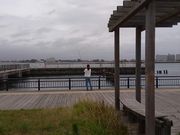 こんぱらさんの新居弁天海釣公園の投稿写真1