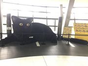 ヒロシさんの羽田クロノゲートの投稿写真1